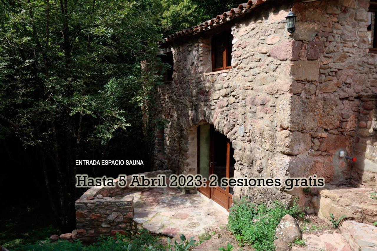 El Paller Del Moli De La Plana Riudaura Esterno foto